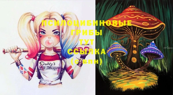 apvp Киренск