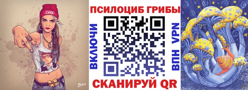 Купить  Слюдянка  Галлюциногенные грибы MAGIC MUSHROOMS 